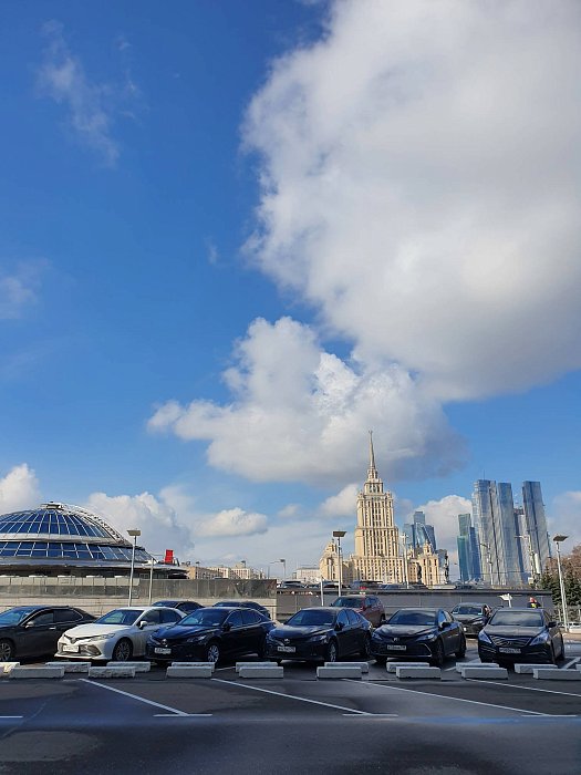 ИЛЬМА приняла участие в ММЭФ-2022